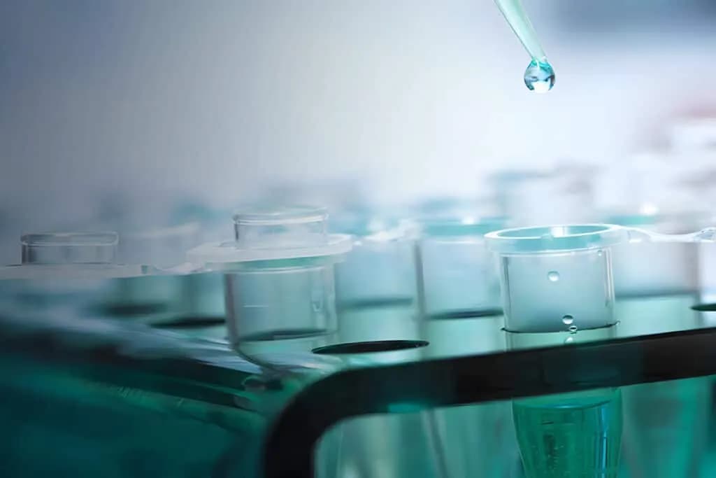 Antibody Production